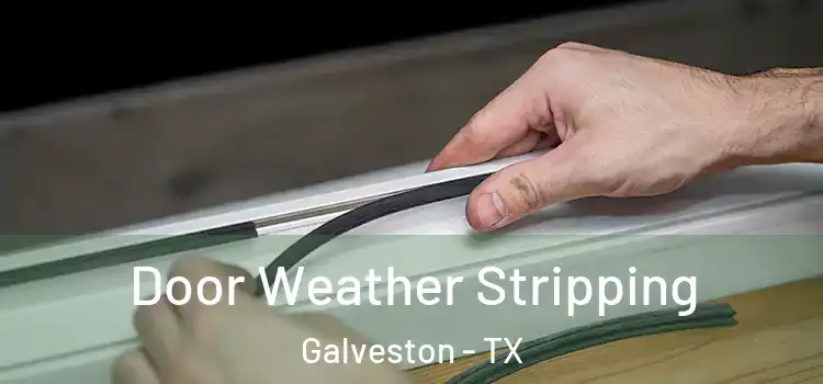Door Weather Stripping Galveston - TX
